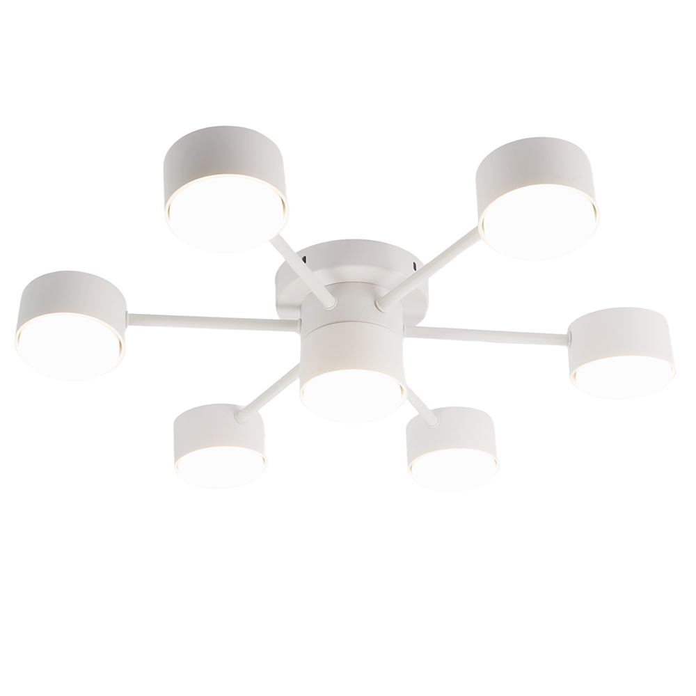 Потолочный светильник Feron AL269  53101 в Санкт-Петербурге