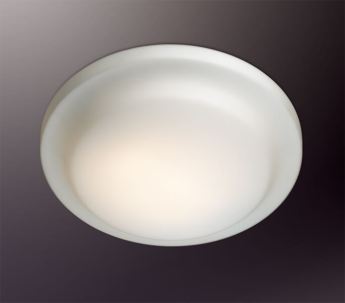 Потолочный светильник Odeon Light Tavoty 2760/2C в Санкт-Петербурге