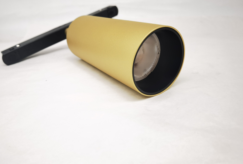 Трековый светильник Maytoni Technical Focus LED TR032-2-12W4K-S-MG в Санкт-Петербурге