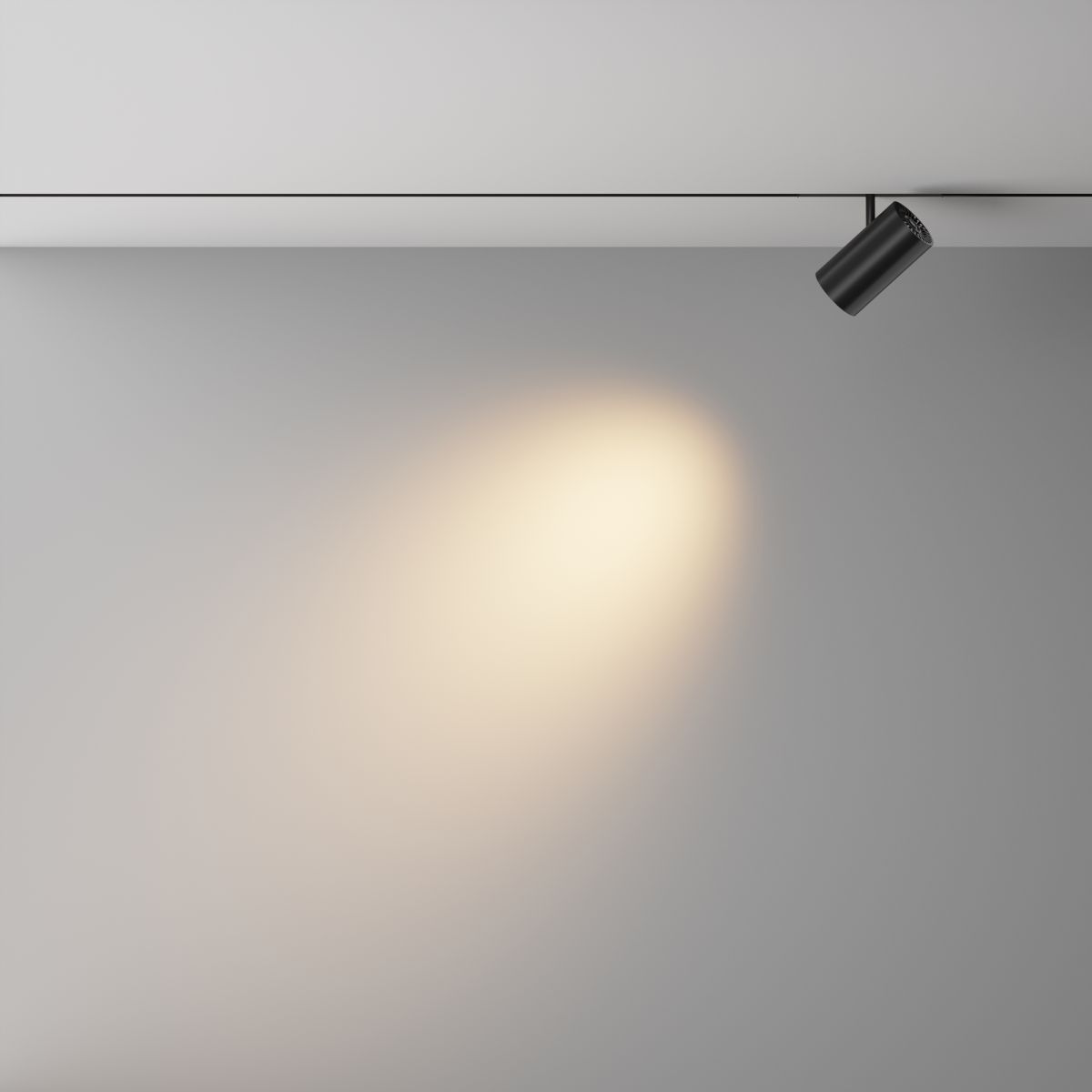 Трековый магнитный светильник Maytoni Technical Focus Led Exility X TR243-4-18WTW-DD2-B в Санкт-Петербурге