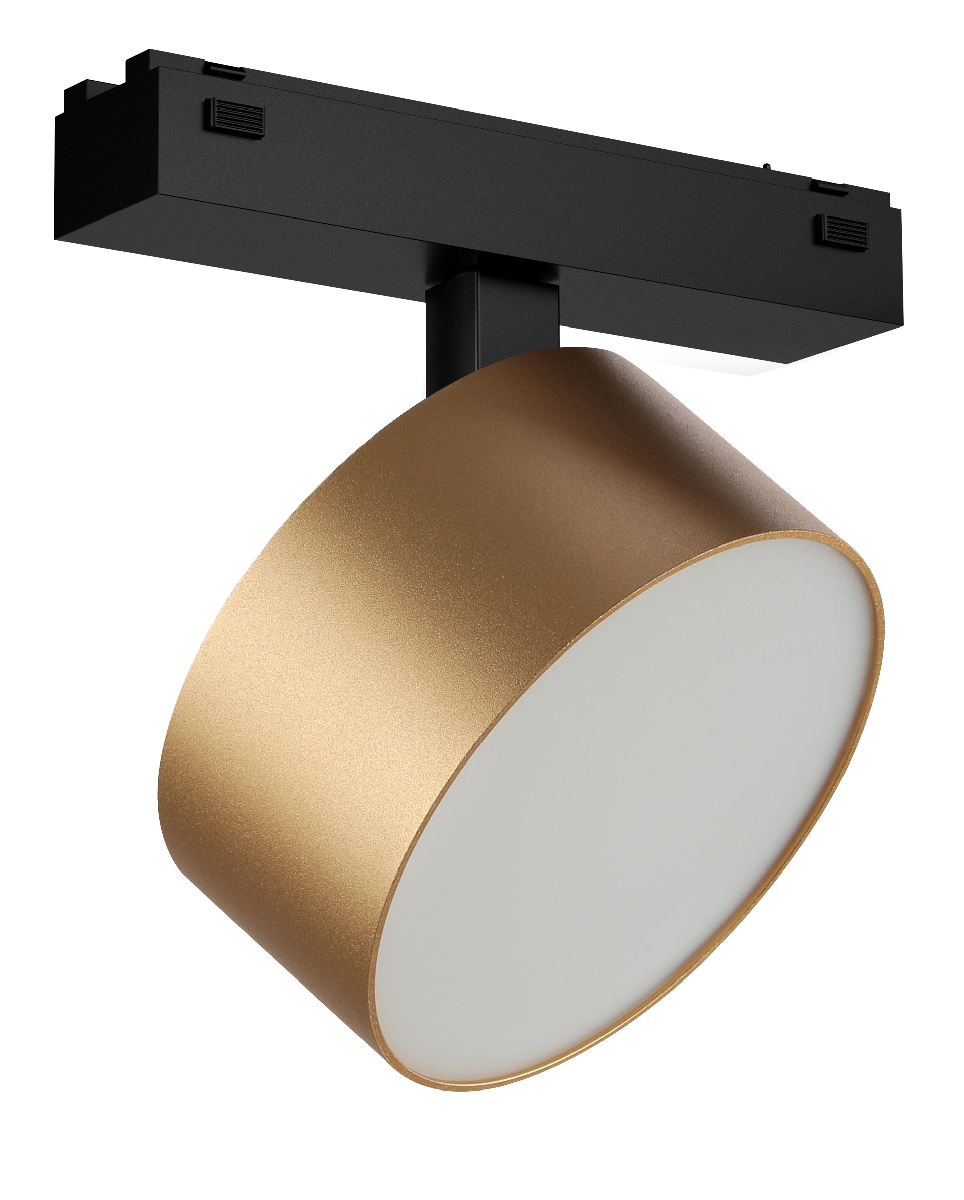 Трековый магнитный светильник iLedex Vision 4825-047-D120-15W-110DG-3000K-SGD в Санкт-Петербурге