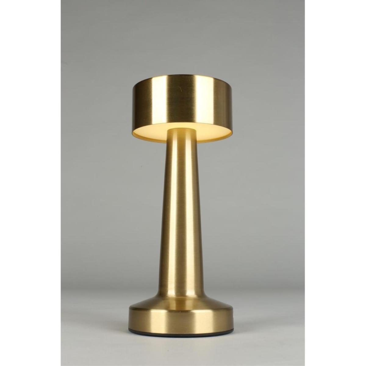 Настольная лампа Aployt Perrayn APL.671.04.01 в #REGION_NAME_DECLINE_PP#