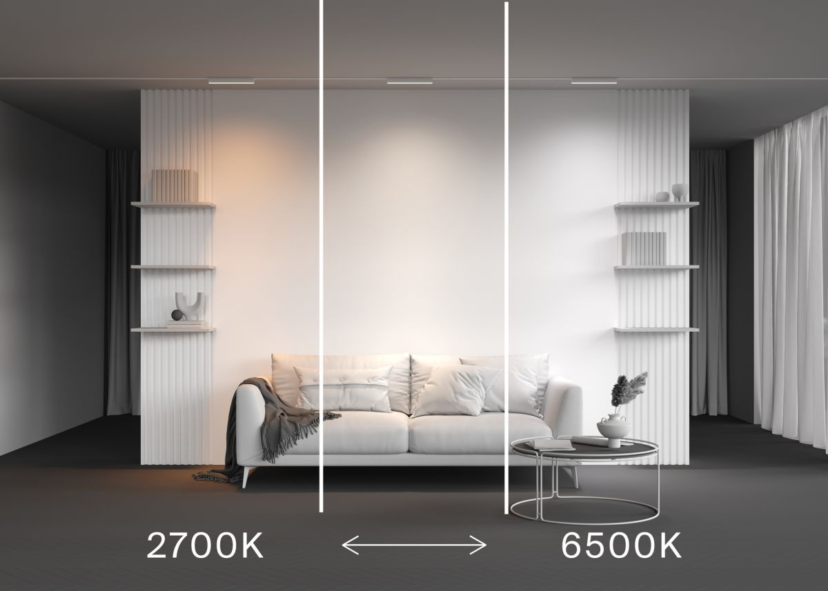 Трековый магнитный светильник Maytoni Technical Basis Radity TR080-4-10WTW-W в Санкт-Петербурге