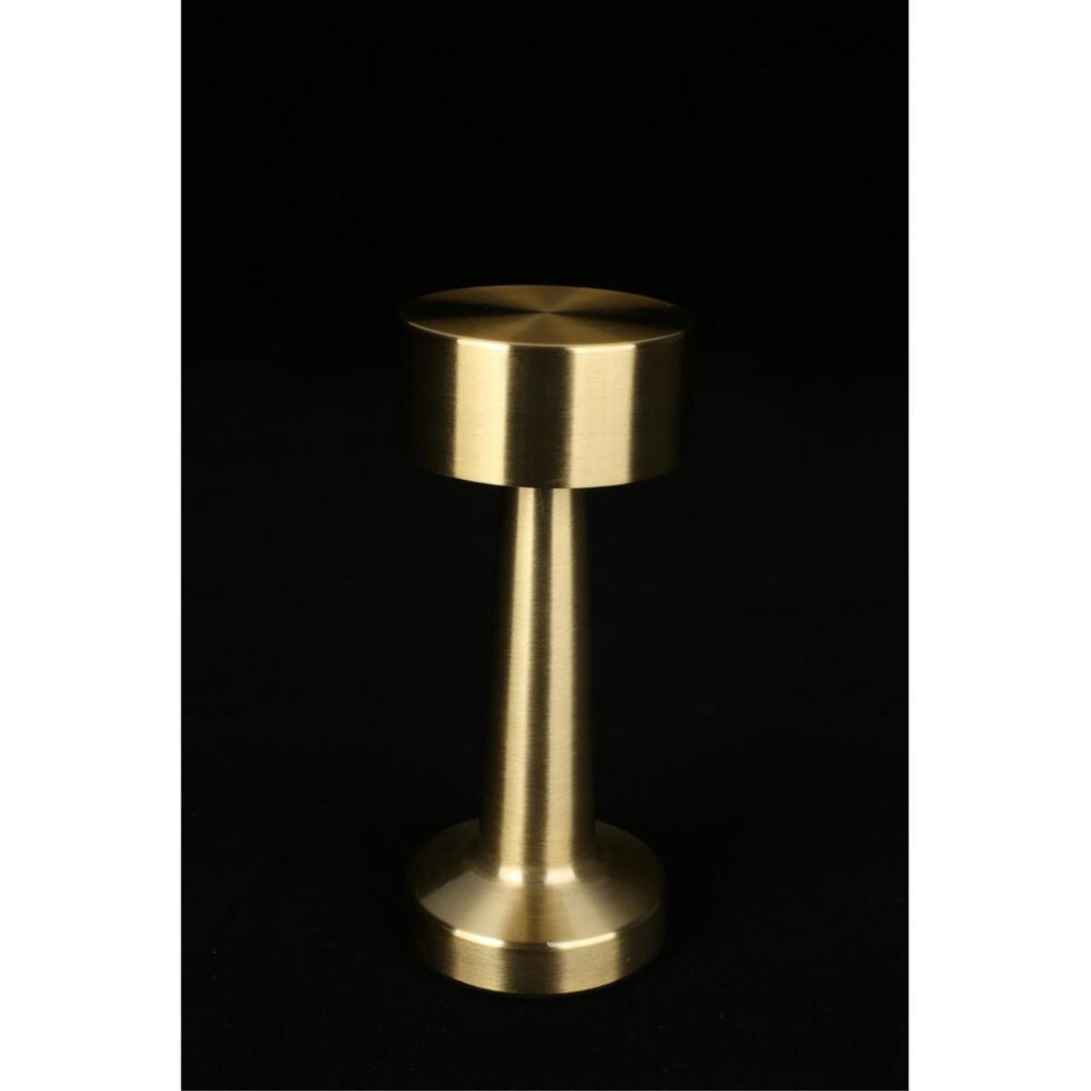 Настольная лампа Aployt Perrayn APL.671.04.01 в Санкт-Петербурге