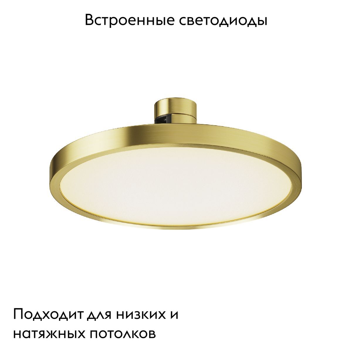 Трековый магнитный светильник Maytoni Plato TR153-1-10W3K-BS в Санкт-Петербурге