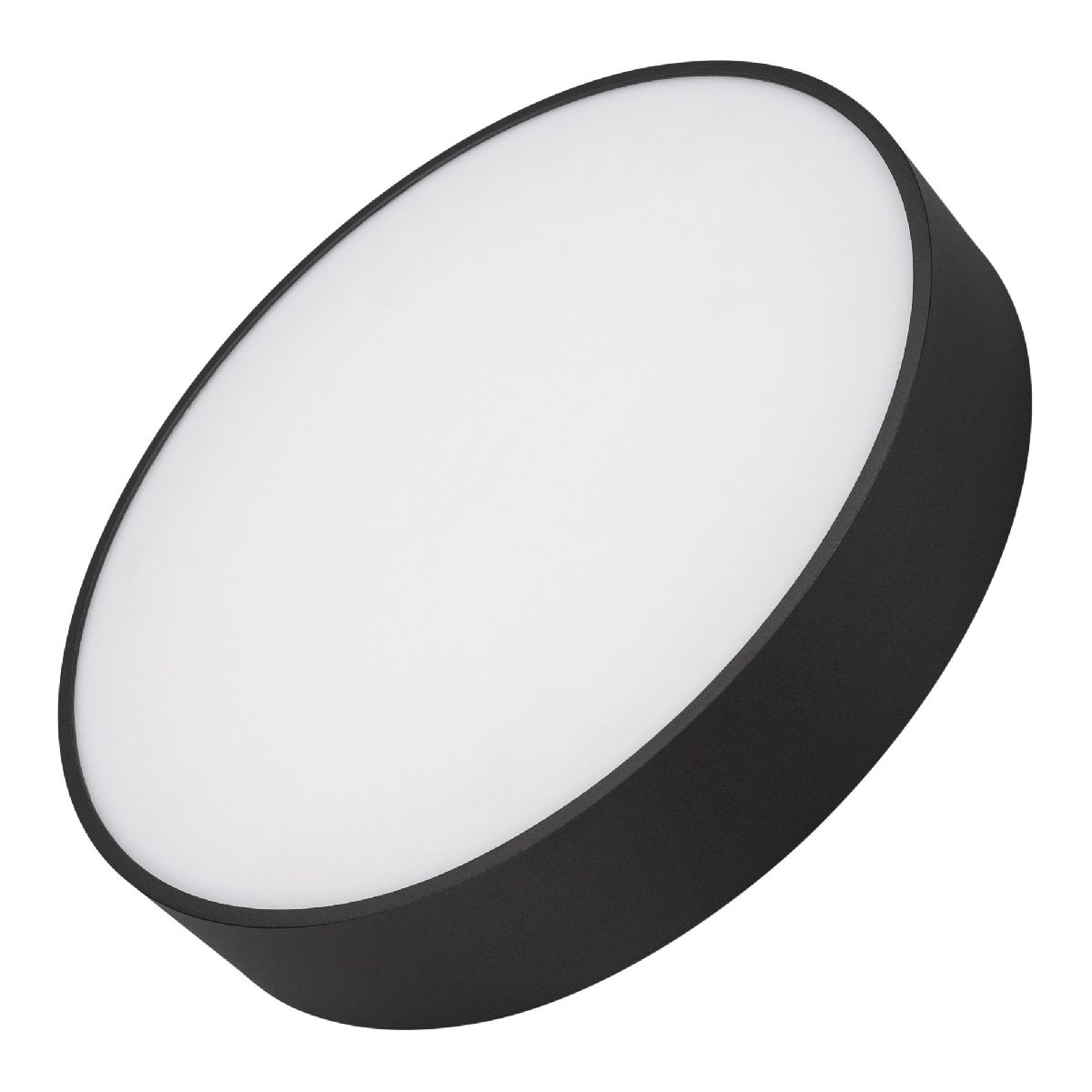 Потолочный светильник Arlight IM-RONDO-EMERGENCY-3H-R350-33W Day4000 (BK, 120 deg, 230V) 041068 в Санкт-Петербурге