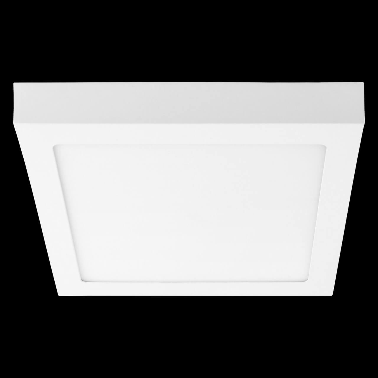 Потолочный светодиодный светильник Lightstar Zocco 324122 в Санкт-Петербурге