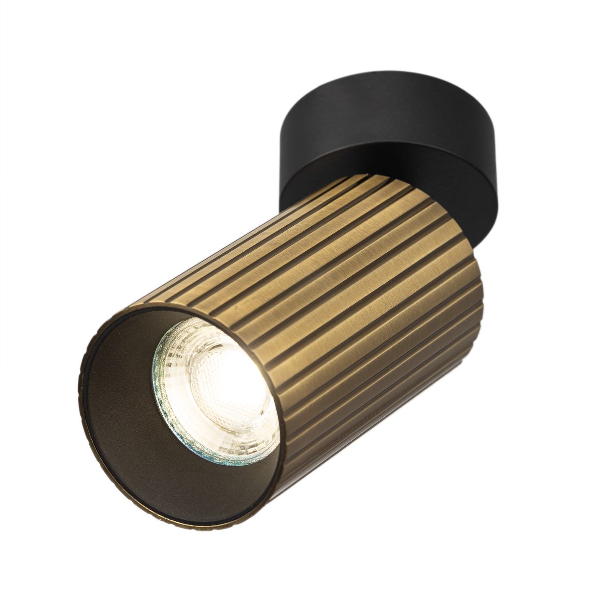 Накладной спот Citilux Axel CL512213R в Санкт-Петербурге