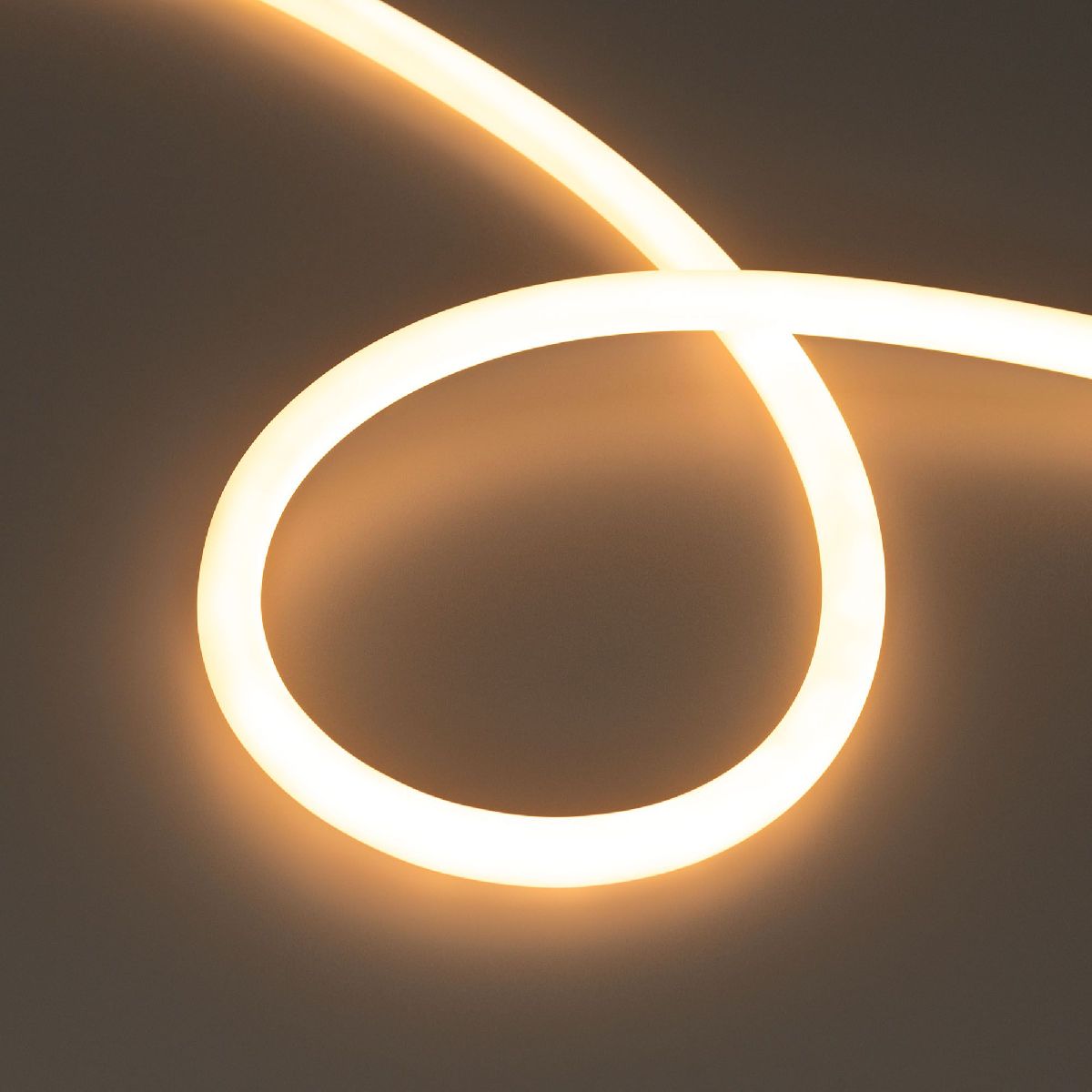 Светодиодная лента герметичная Arlight MOONLIGHT-TOP-S-M560-D13mm 48V Warm2300 (13 W/m, IP65, 10m, wire x1, трос) 043818 в Санкт-Петербурге