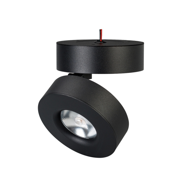 Светодиодный спот Arlight SP-Mona-Surface-R100-12W Warm3000 025443(1) в Санкт-Петербурге