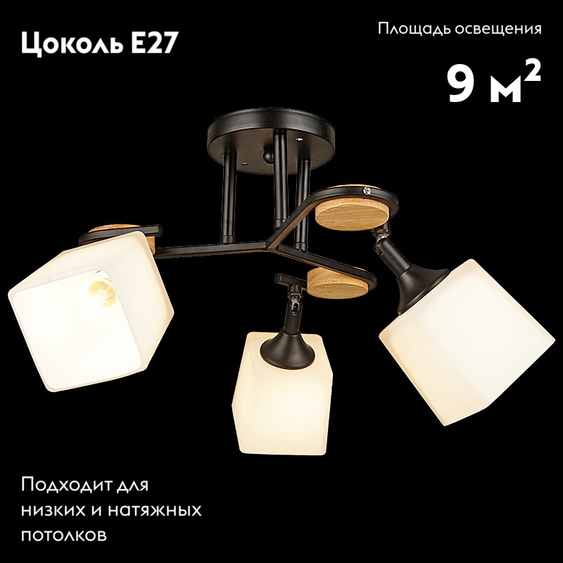 Потолочная люстра Reluce 04217-0.3-03 BK в #REGION_NAME_DECLINE_PP#