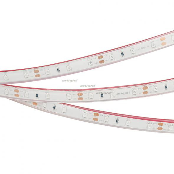 Светодиодная лента Arlight RTW 2-5000PGS 12V Blue (3528, 300 LED, LUX) 013393 в Санкт-Петербурге