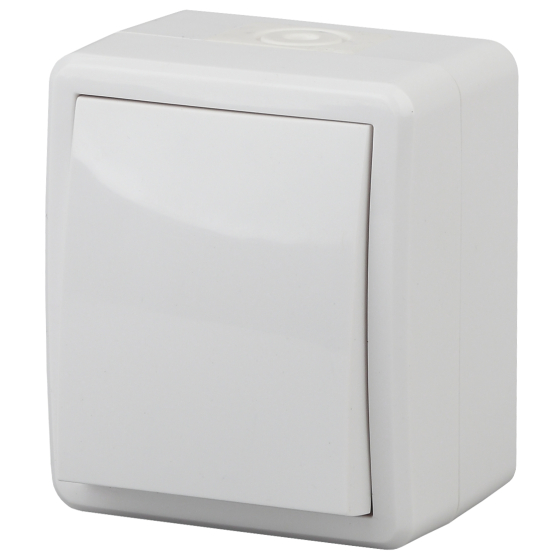 Выключатель одноклавишный ЭРА Эксперт 10AX 250V IP54 11-1401-01 Б0020669 в Санкт-Петербурге
