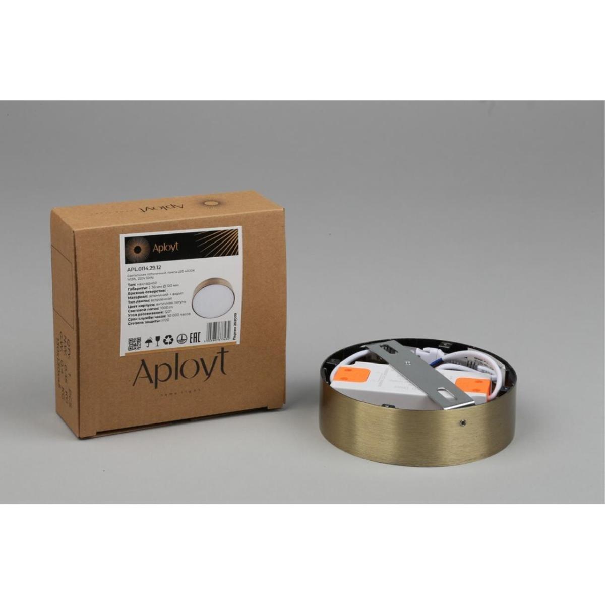 Потолочный светильник Aployt Evon APL.0114.29.12 в Санкт-Петербурге