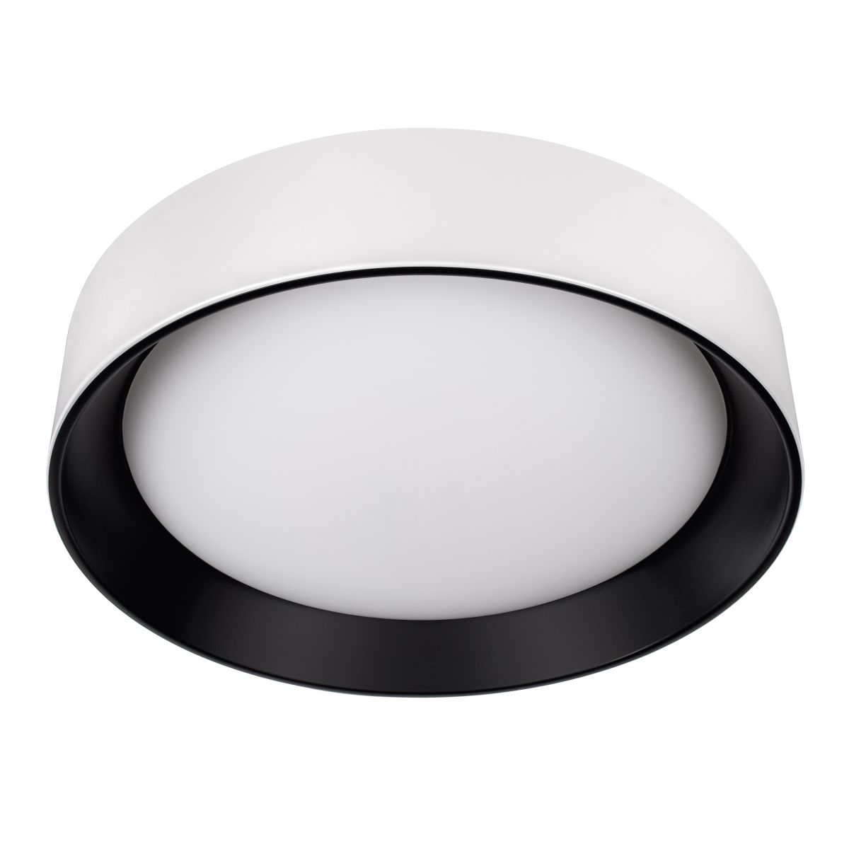 Потолочный светильник Loft IT Coin 10202 WB в Санкт-Петербурге