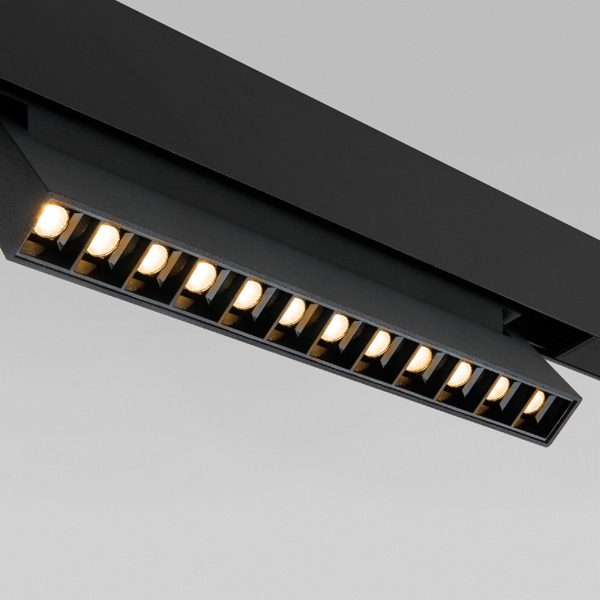 Трековый магнитный светильник Elektrostandard Slim Magnetic 4690389206412 85010/01 a067370 в Санкт-Петербурге