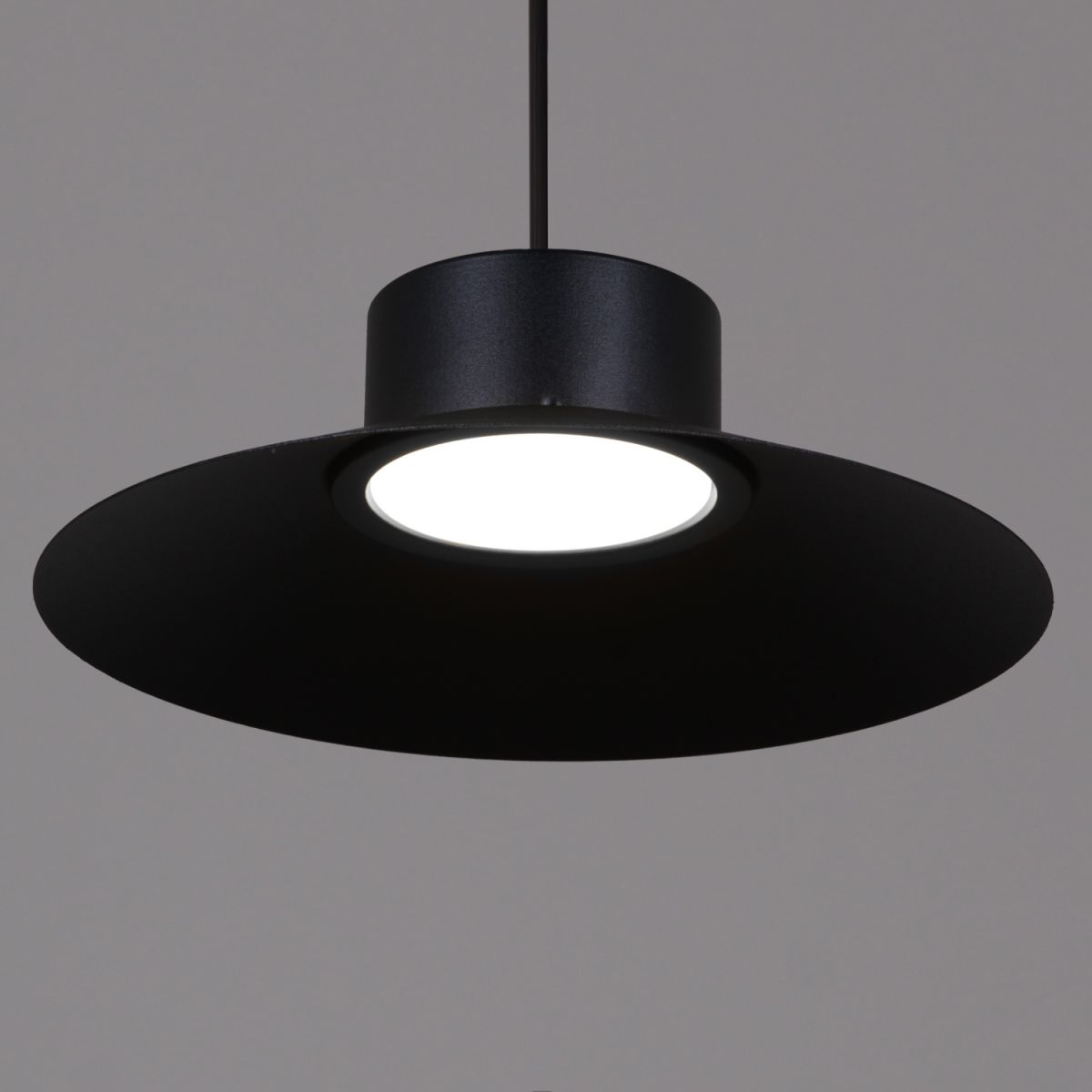 Подвесной светильник Reluce 40110-0.9-03 BK в Санкт-Петербурге