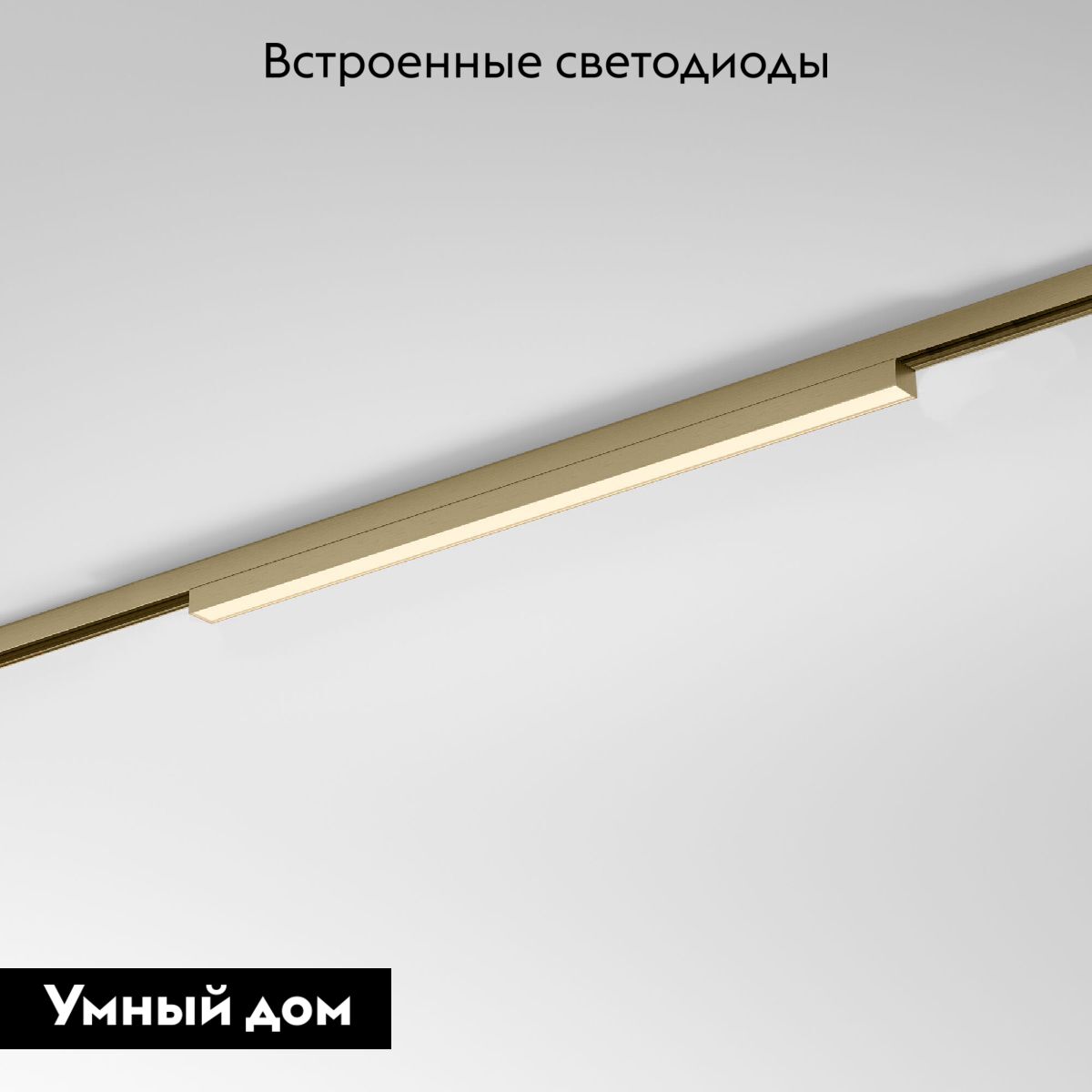 Трековый магнитный светильник Elektrostandard Line Magnetic 85526/01 4690389213632 a069634 в Санкт-Петербурге
