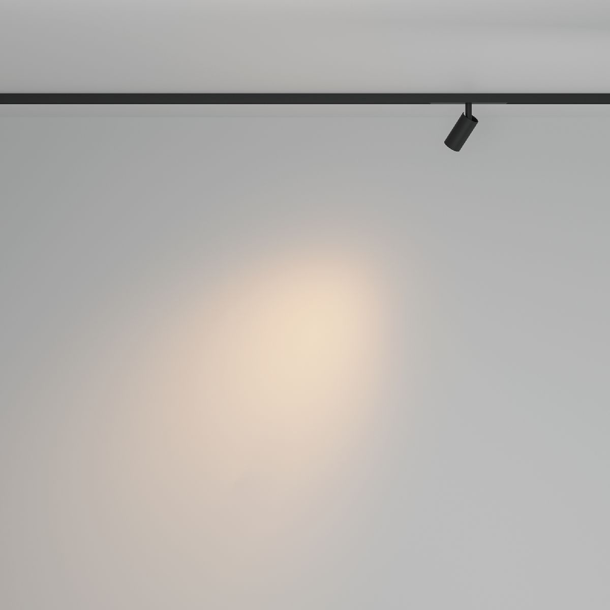 Трековый магнитный светильник Maytoni Focus Led TR176-1-3WTW-M-B в Санкт-Петербурге