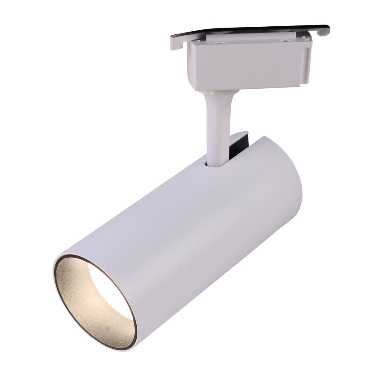 Трековый однофазный светильникЭРА TR5-3030 WH светодиодный 30 Вт 3000К белый Б0069986 в Санкт-Петербурге