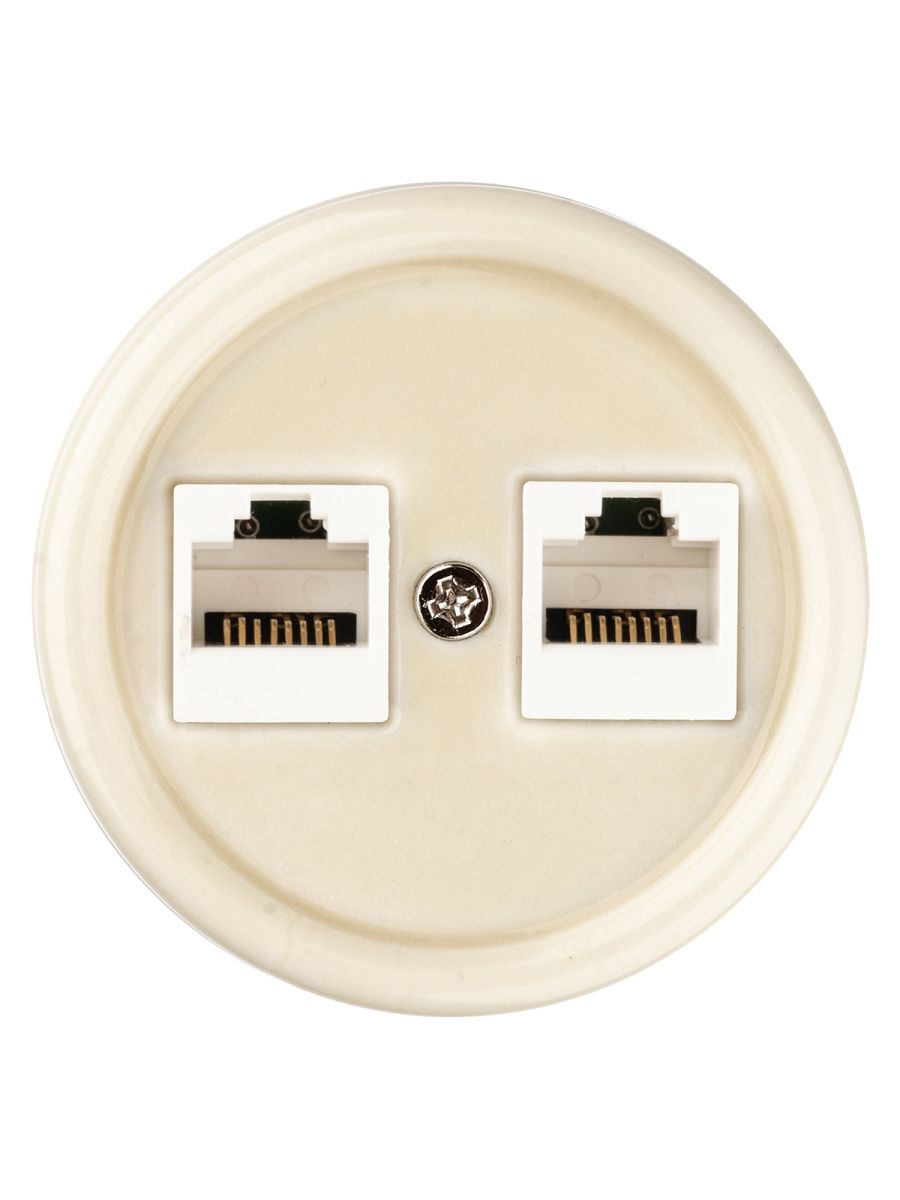 Розетка двойная компьютерная RJ45 сл. кость Болонь TDM Electric SQ1820-0351 в #REGION_NAME_DECLINE_PP#