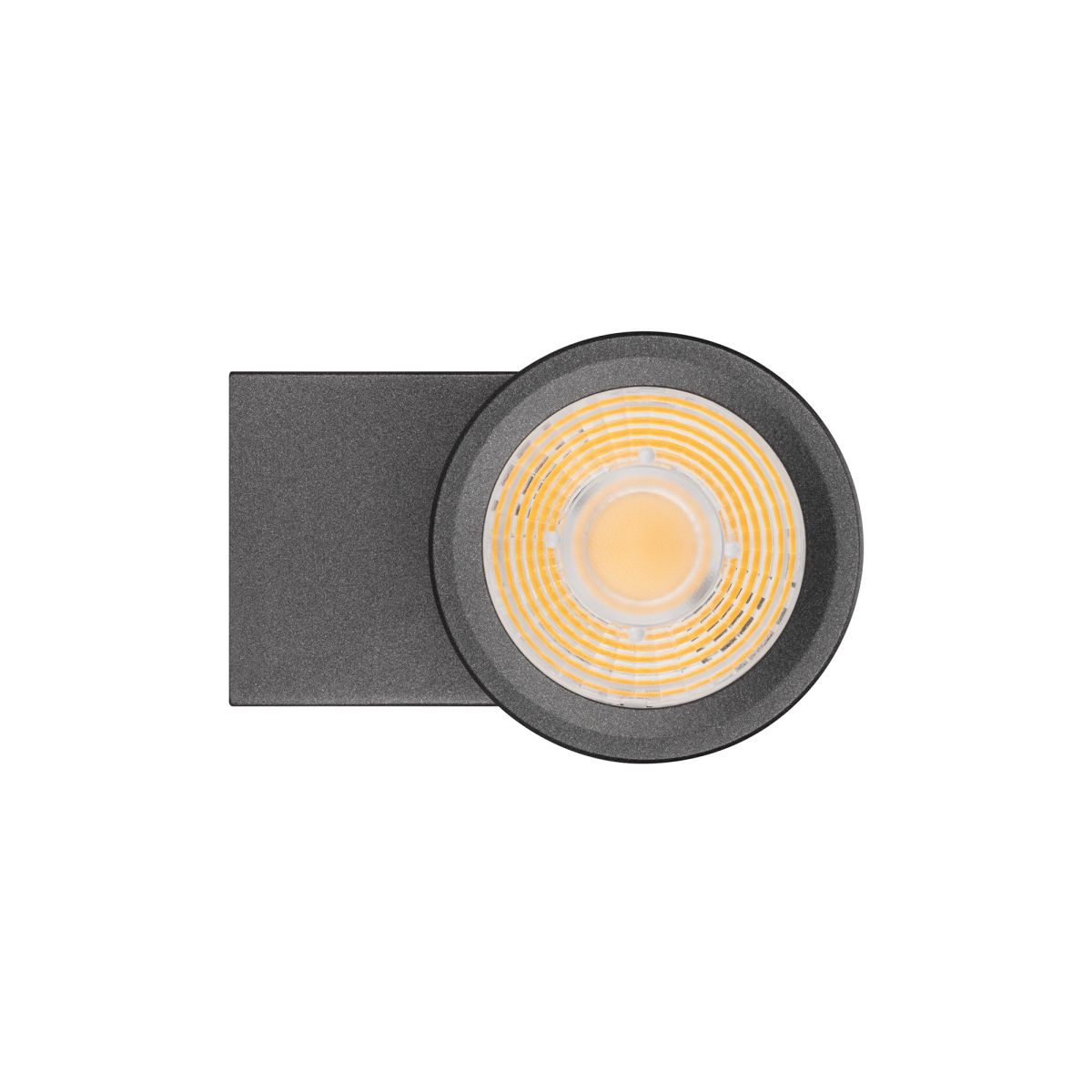 Уличный настенный светильник Arlight LGD-RAY-TWIN-R65-2x9W Day4000 (Серый, 23 deg, 230V) (IP65 Металл) 044850(1) в Санкт-Петербурге