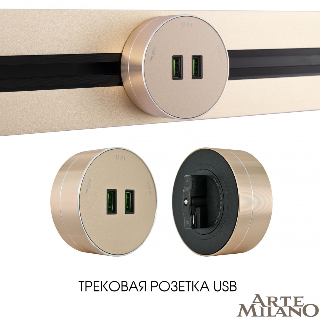 Трековая розетка Arte Milano Am-track-sockets 380011TS/USBx2 Gold в Санкт-Петербурге