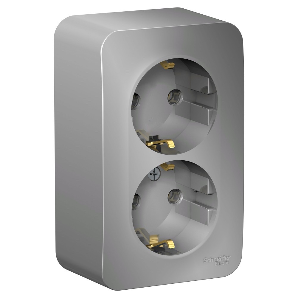 Розетка 2-ая с/з без шторок 16А, 250В, изолир. Пластина Systeme Electric Blanca наруж Алюминий BLNRA010213 в Санкт-Петербурге
