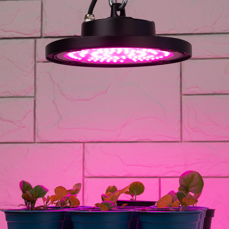 Фитопрожектор для растений Эра FITO-50W-RB-LED-UFO Б0053280 в Санкт-Петербурге