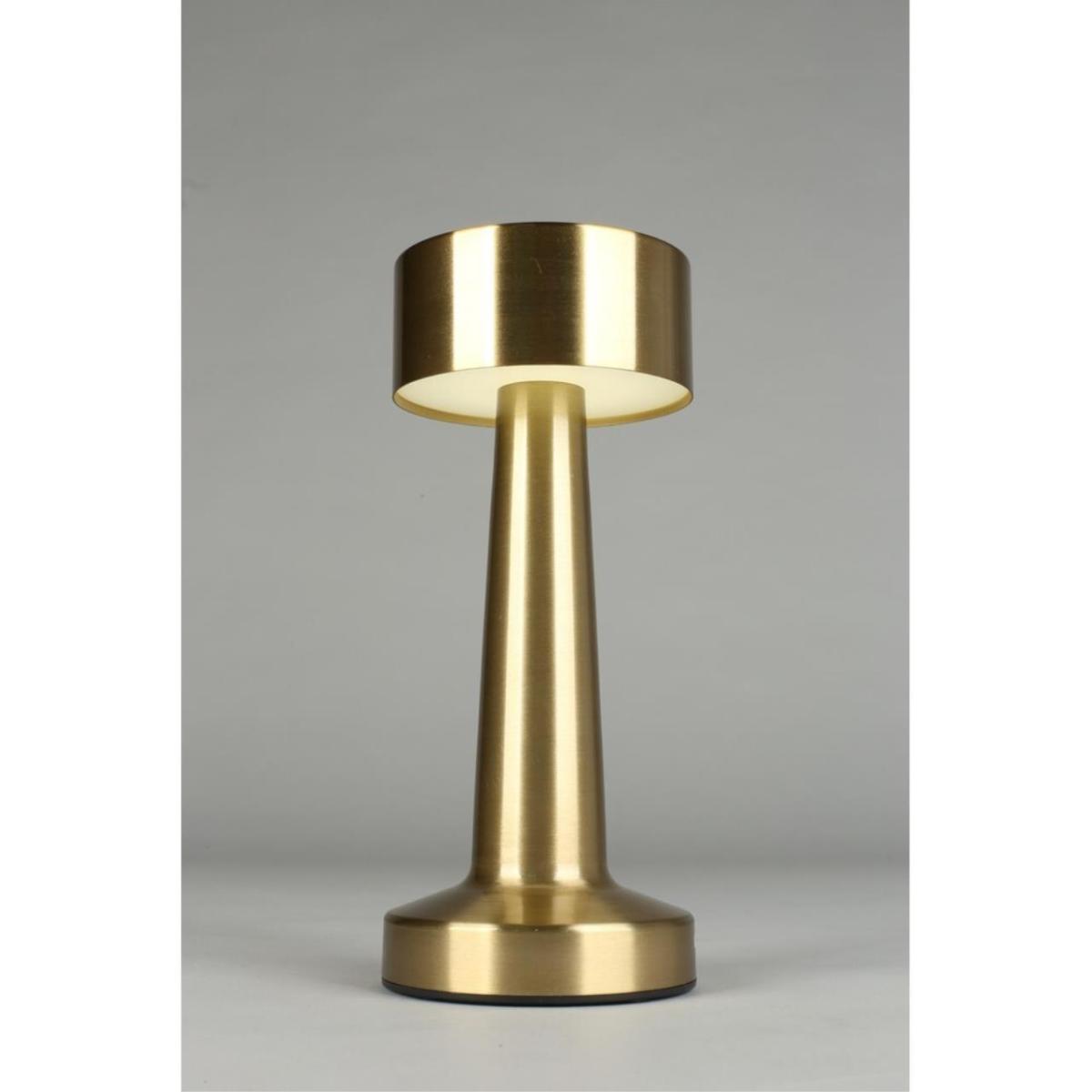 Настольная лампа Aployt Perrayn APL.671.04.01 в #REGION_NAME_DECLINE_PP#