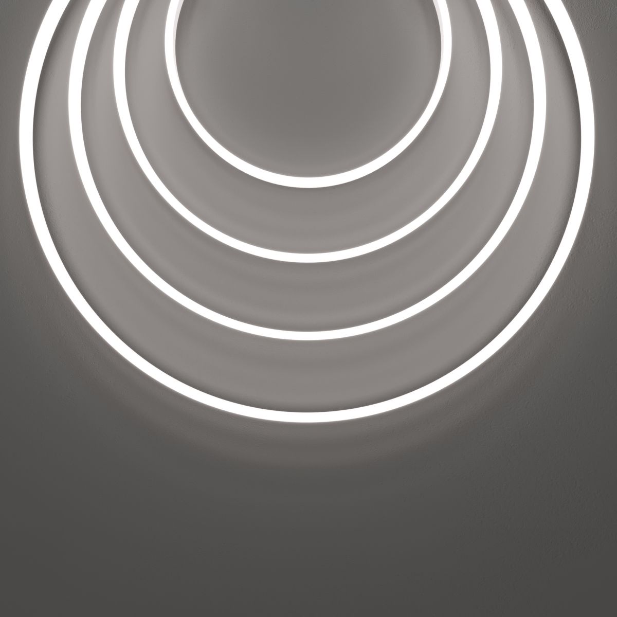 Гибкий неон Maytoni Led strip 24В 10Вт/м 6000K 5м IP67 432031 в Санкт-Петербурге