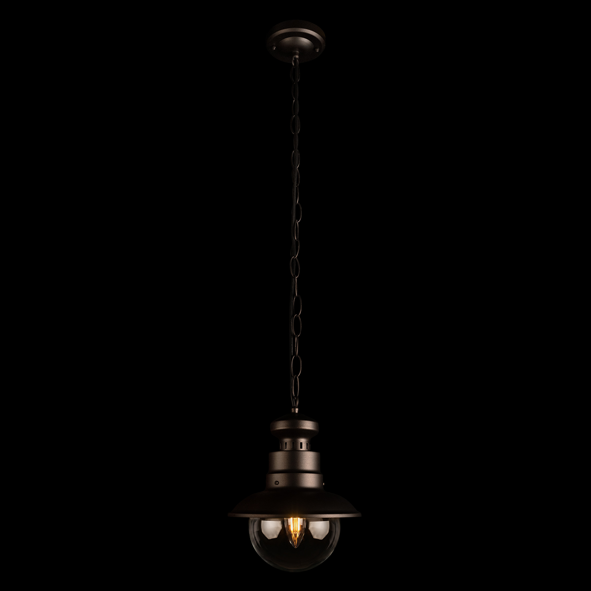 Уличный подвесной светильник Loft IT Piemonte 100022P в Санкт-Петербурге