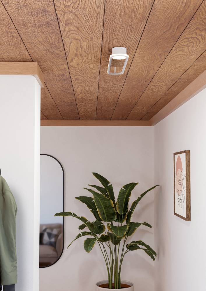 Потолочный светильник Eglo Collecorvino 902152 в Санкт-Петербурге