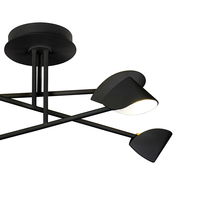 Потолочная люстра Mantra Capuccina 7581 в Санкт-Петербурге