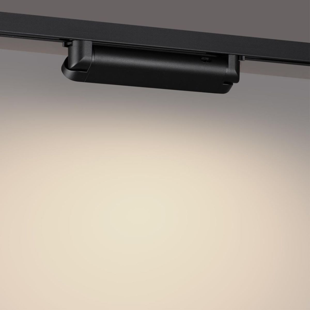 Трековый однофазный трехжильный светильник с переключателем цветовой температуры Novotech Port Iter 359796 в Санкт-Петербурге