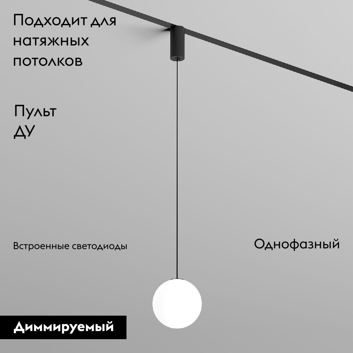 Трековый однофазный светильник Denkirs Smart Moon DK8052-BK в Санкт-Петербурге