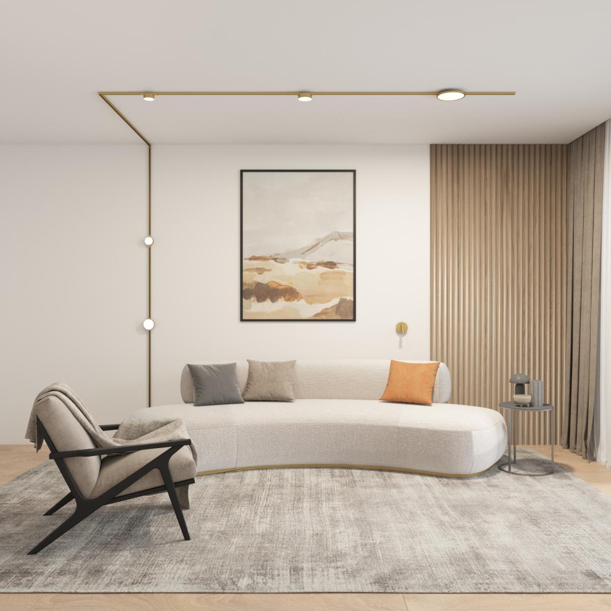 Трековый однофазный светильник Denkirs Shine flow DK5761-SB в Санкт-Петербурге