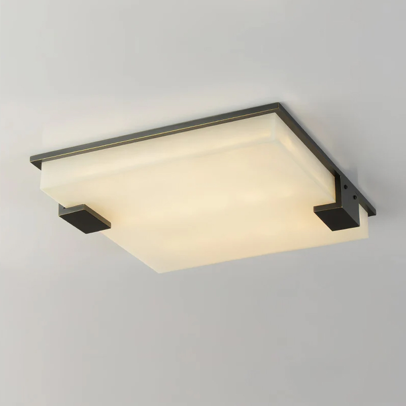 Потолочный светильник Delight Collection 8212C/500 black/white в Санкт-Петербурге