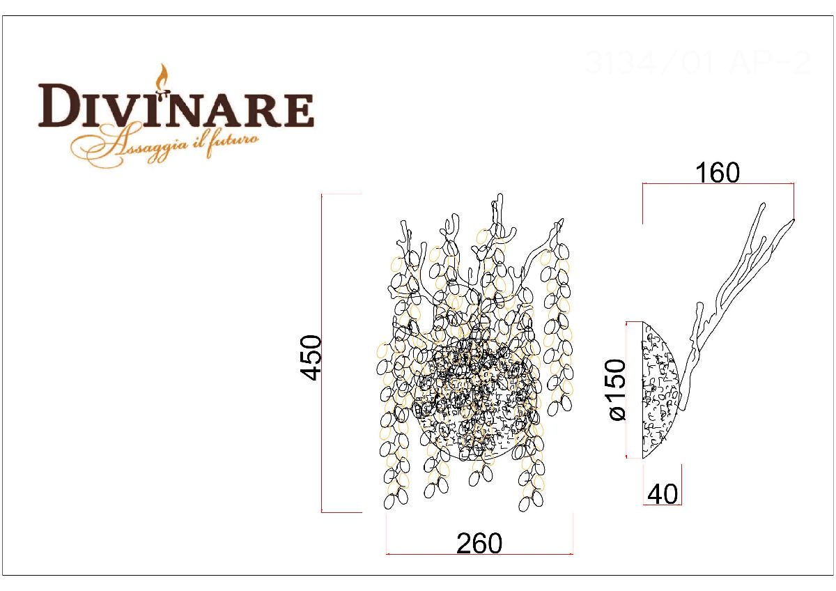 Настенный светильник Divinare Salice 3134/01 AP-2 в Санкт-Петербурге