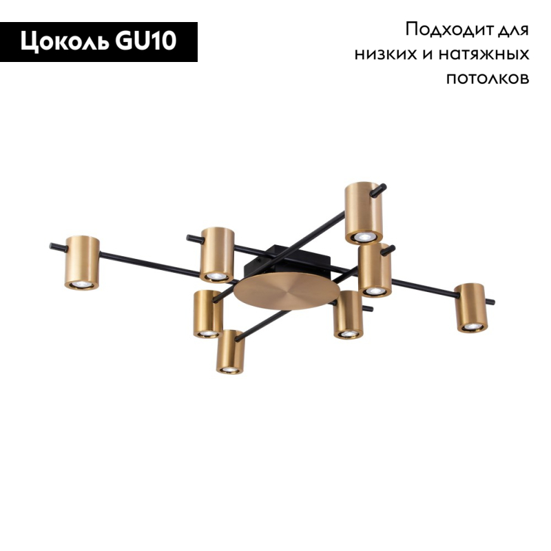 Потолочная люстра Aployt Elwisia APL.633.07.08 в #REGION_NAME_DECLINE_PP#