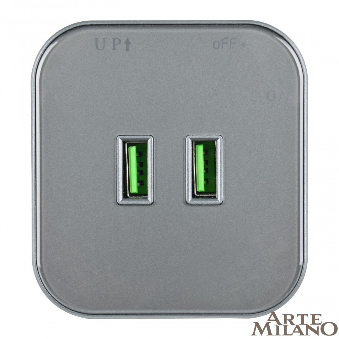 Трековая розетка Arte Milano Am-track-sockets 380022TS/USBx2 Grey в Санкт-Петербурге