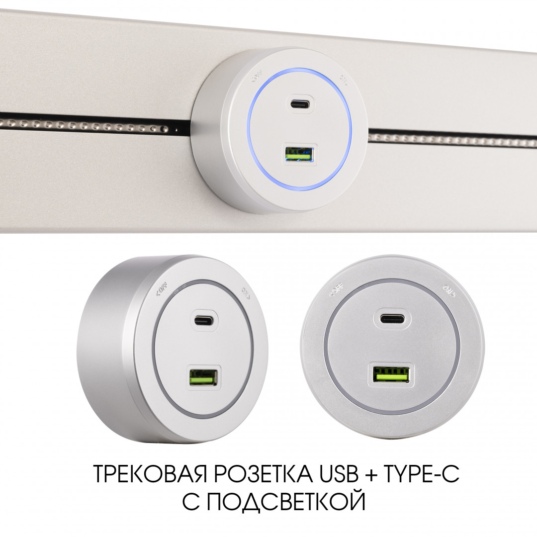 Трековая розетка Arte Milano Am-track-sockets-39 399731TS/USB-Type-C Silver в Санкт-Петербурге