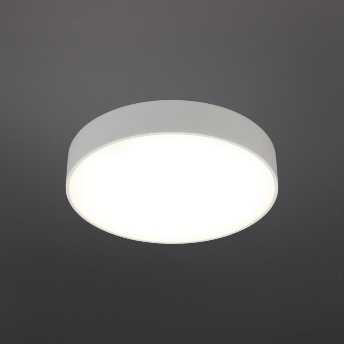 Потолочный светильник Aployt Evon APL.0114.09.24 в Санкт-Петербурге