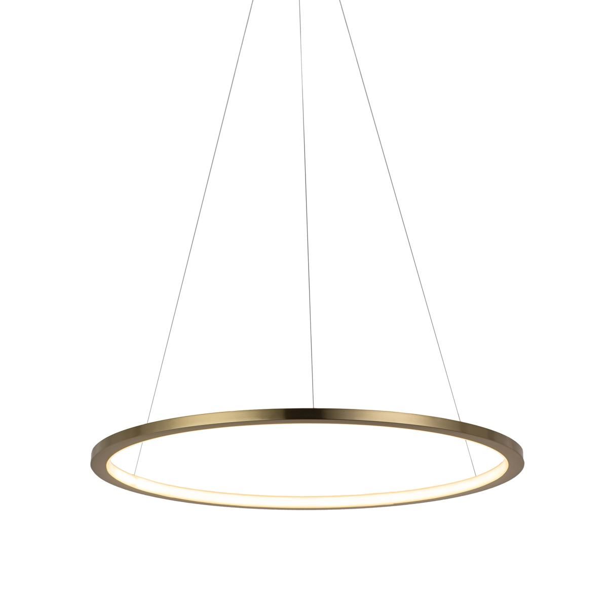 Подвесной светодиодный светильник Loft IT Ring 10014M УЦ в Санкт-Петербурге