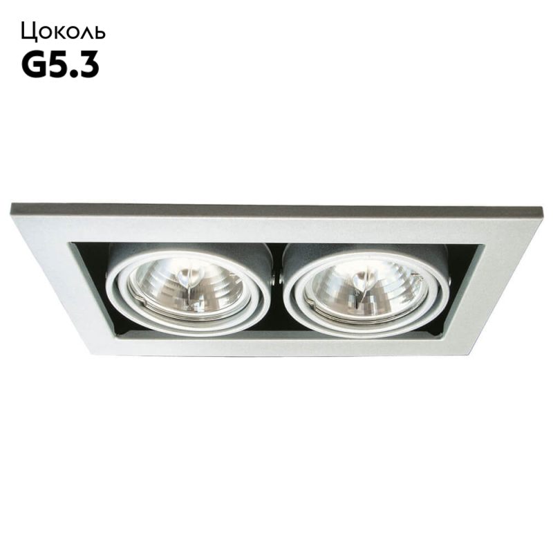 Встраиваемый светильник Arte Lamp Technika A5930PL-2SI в Санкт-Петербурге