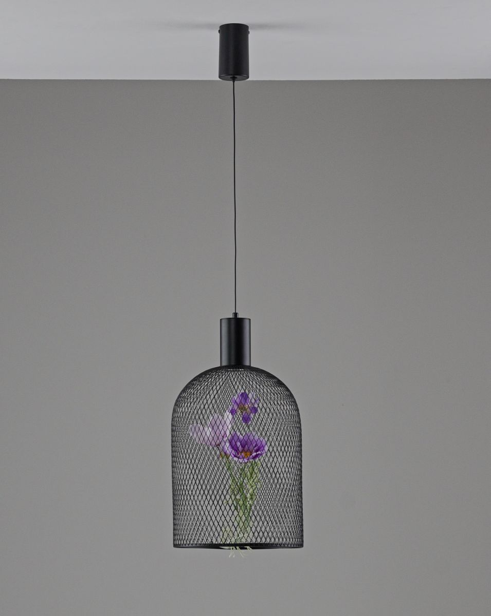 Подвесной светильник Moderli Ophelia V11875-PL в #REGION_NAME_DECLINE_PP#