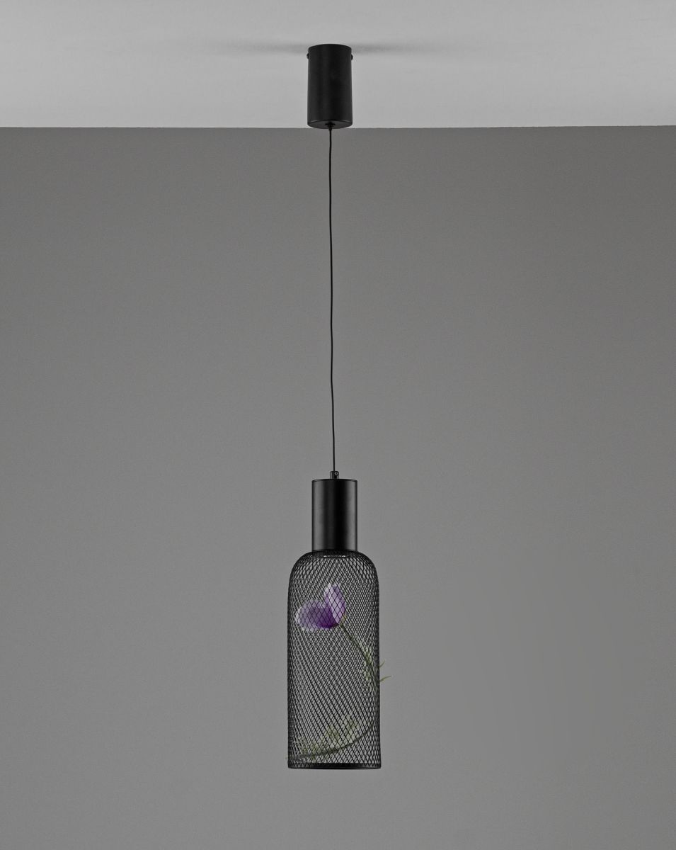 Подвесной светильник Moderli Ophelia V11873-PL в #REGION_NAME_DECLINE_PP#