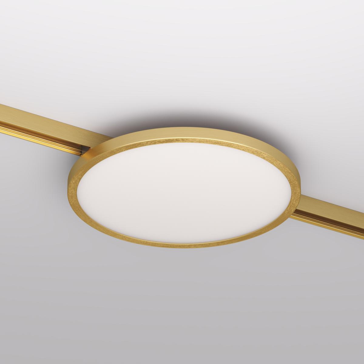 Трековый однофазный светильник Denkirs Shine flow DK5763-SB в Санкт-Петербурге