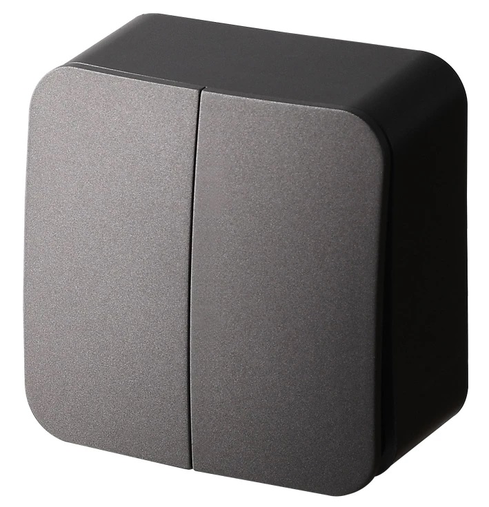 Выключатель 2-клавишный Jasmart FS FS3023B в #REGION_NAME_DECLINE_PP#