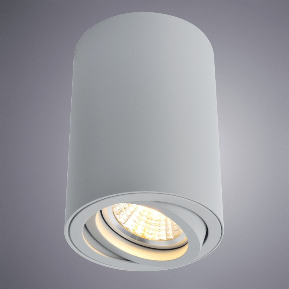 Потолочный светильник Arte Lamp A1560PL-1GY в Санкт-Петербурге